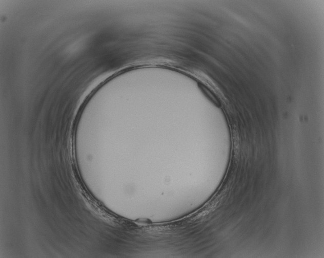 X0000073451044200608251701