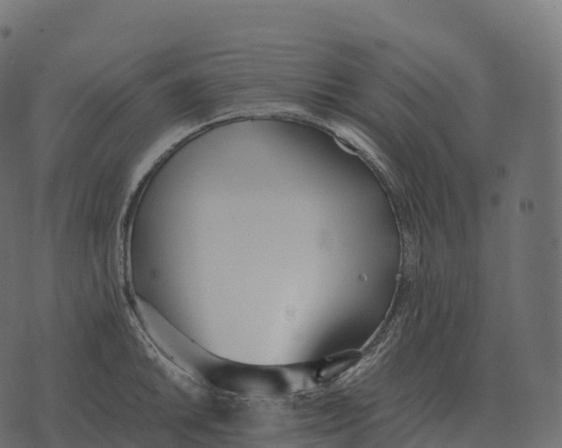 X0000073451046200608251701