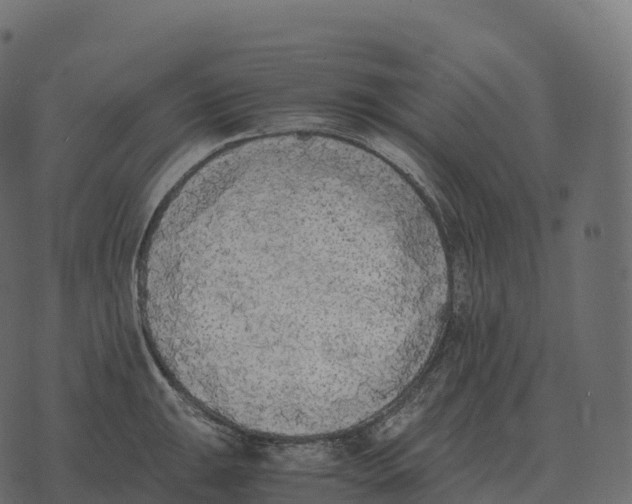 X0000073451047200608251701