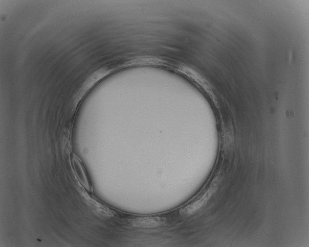 X0000073451049200608251701