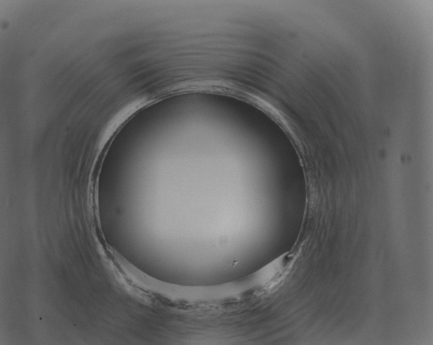 X0000073451050200608251701