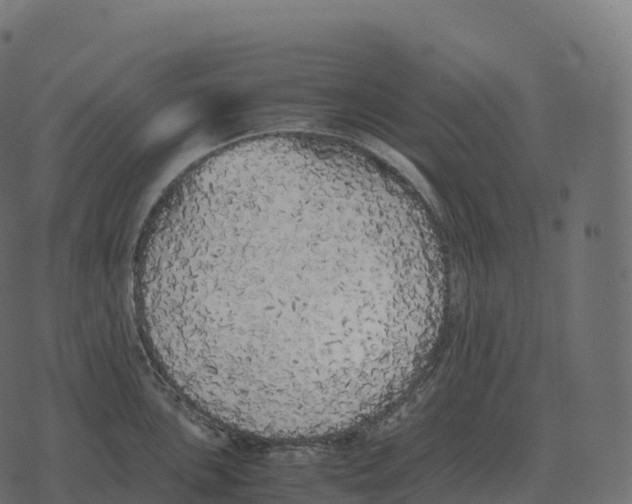 X0000073451051200608251701