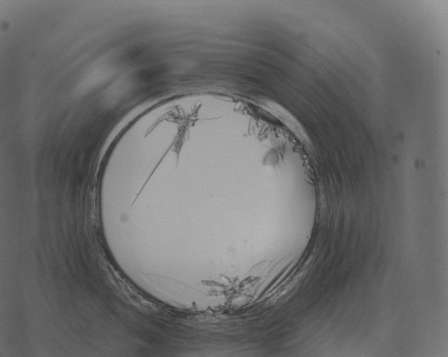 X0000073451052200608251701