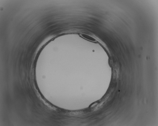 X0000073451053200608251701