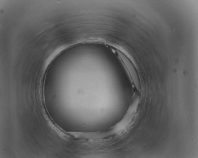 X0000073451054200608251701