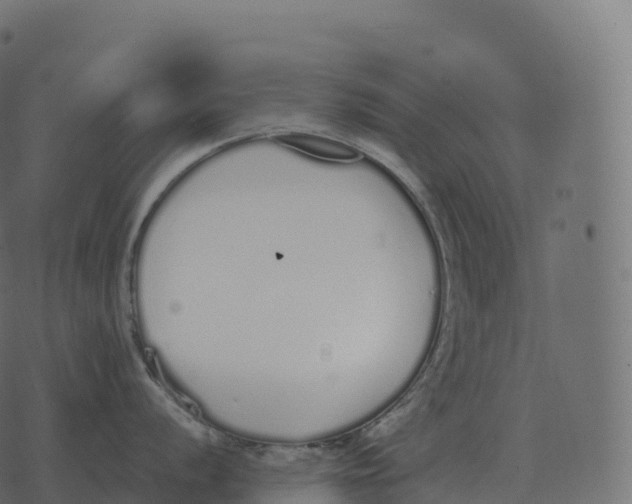 X0000073451056200608251701