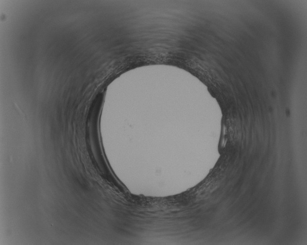 X0000073451057200608251700