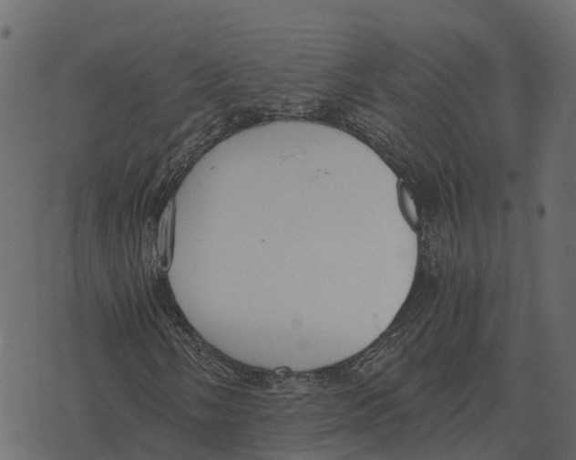 X0000073451058200608251700