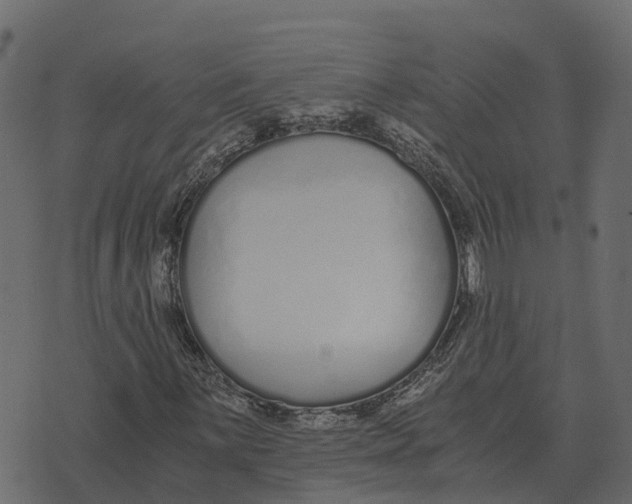 X0000073451059200608251700