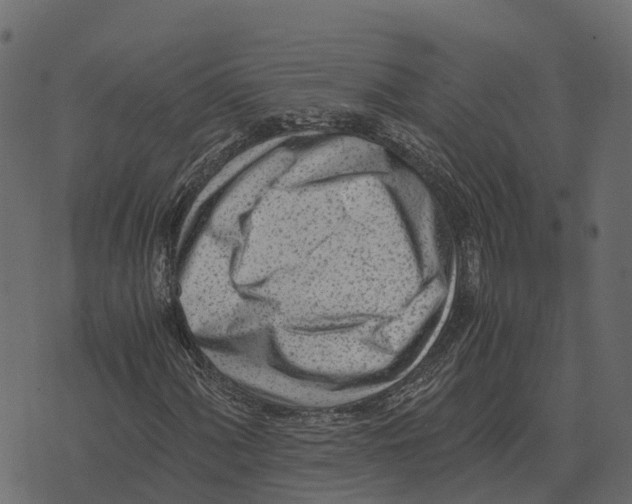 X0000073451060200608251700