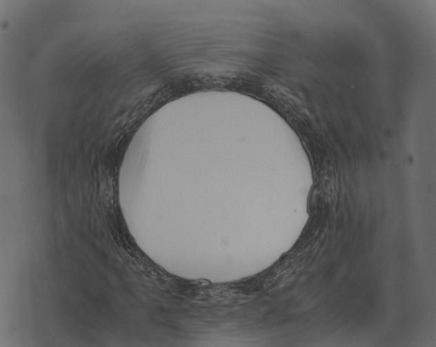 X0000073451061200608251700