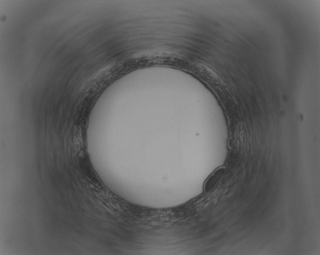 X0000073451062200608251700