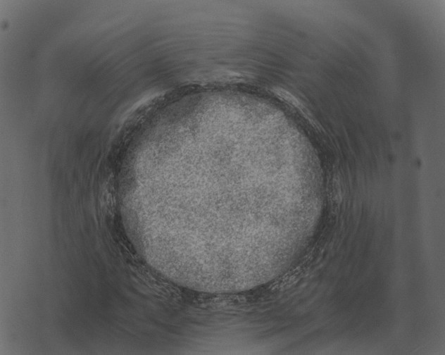 X0000073451063200608251700