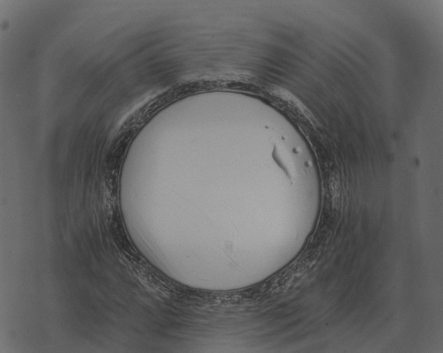 X0000073451064200608251700