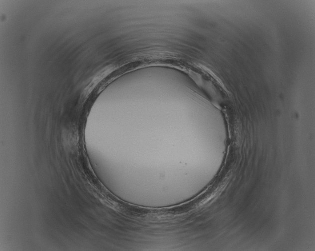 X0000073451065200608251700