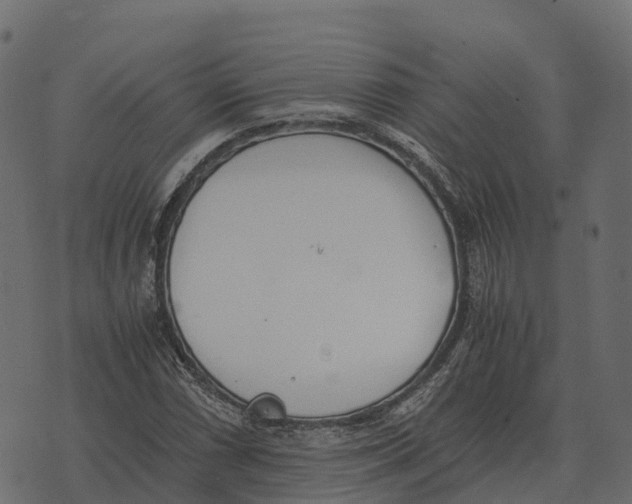 X0000073451066200608251700