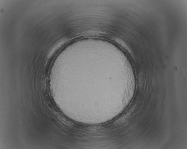 X0000073451067200608251700