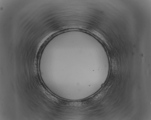 X0000073451068200608251700