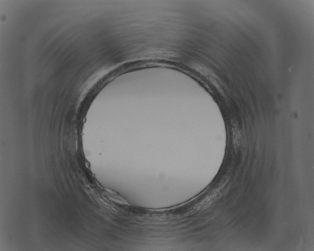 X0000073451069200608251700