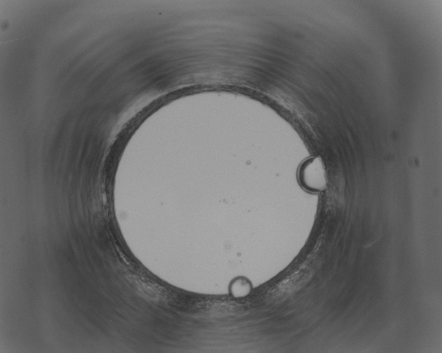 X0000073451070200608251700