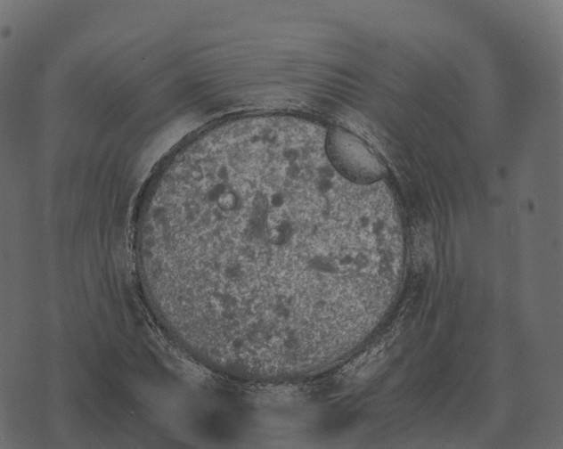 X0000073451071200608251700