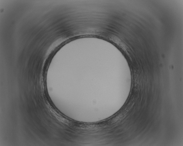 X0000073451072200608251700