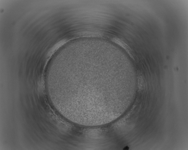 X0000073451074200608251700