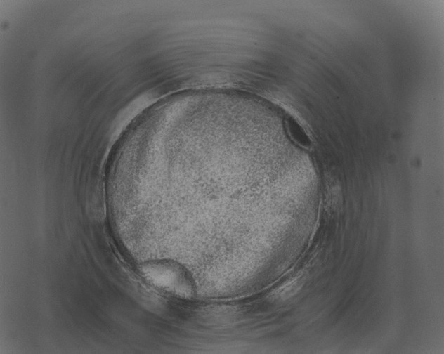 X0000073451075200608251700