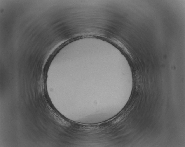 X0000073451076200608251700