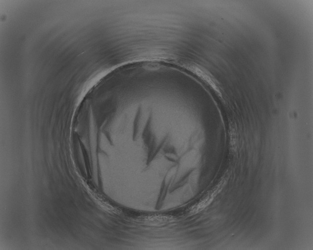 X0000073451077200608251700