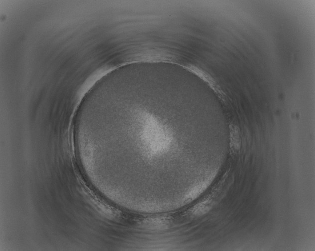 X0000073451078200608251700