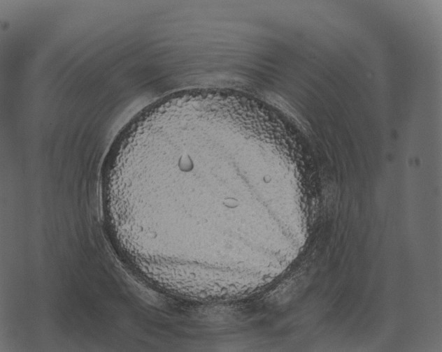 X0000073451079200608251700