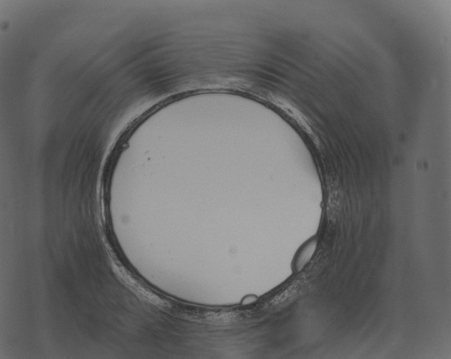 X0000073451080200608251700