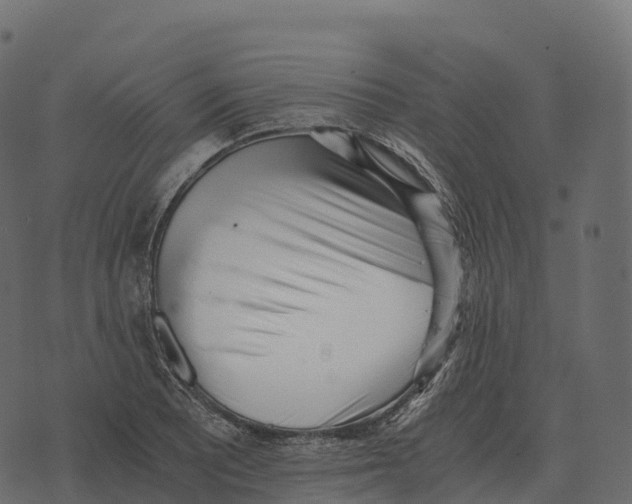 X0000073451081200608251700