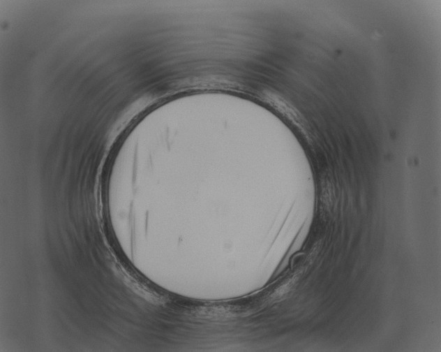 X0000073451082200608251700