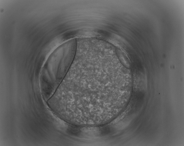 X0000073451083200608251700