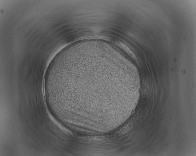 X0000073451084200608251700