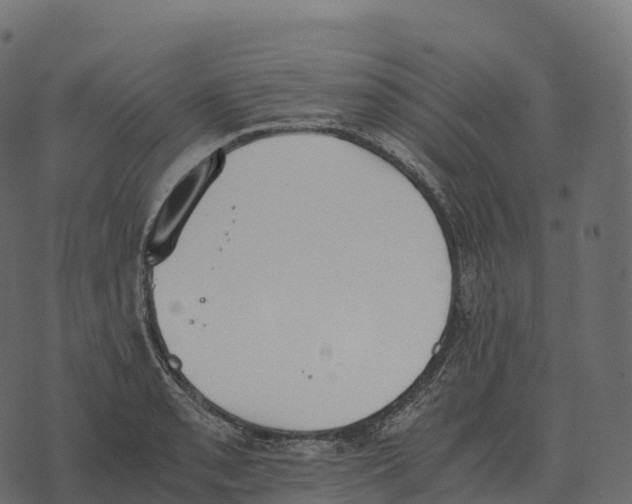 X0000073451085200608251700