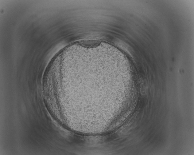 X0000073451087200608251700