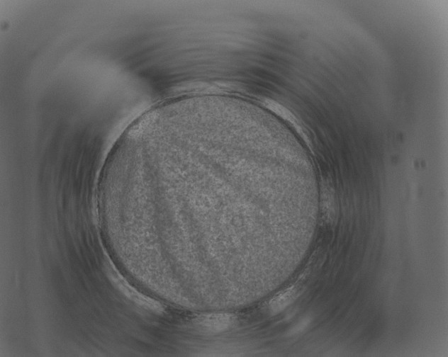 X0000073451090200608251700