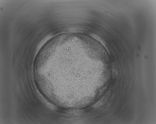 X0000073451091200608251659