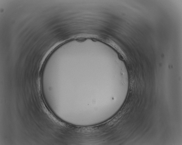 X0000073451092200608251659