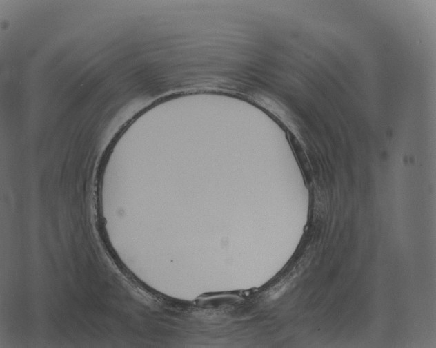 X0000073451093200608251659