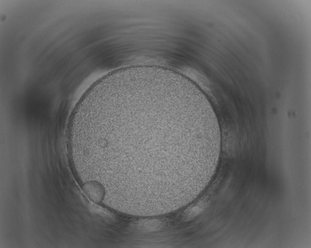 X0000073451094200608251659