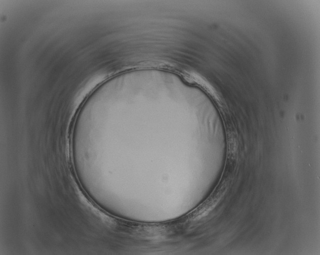 X0000073451095200608251659