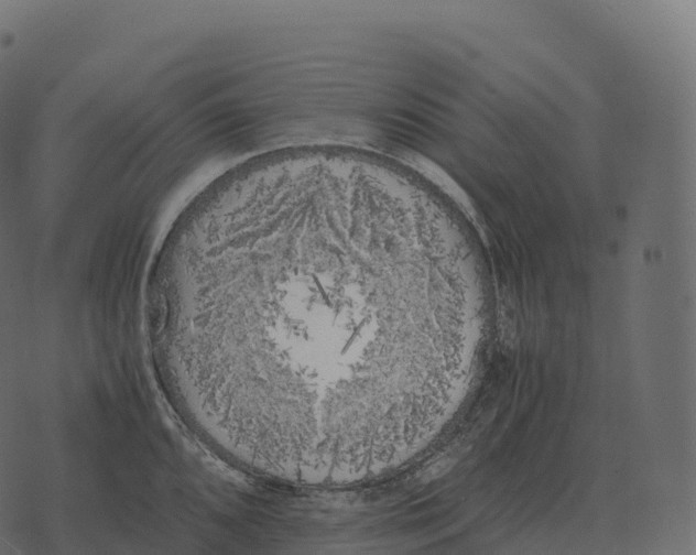 X0000073451096200608251659