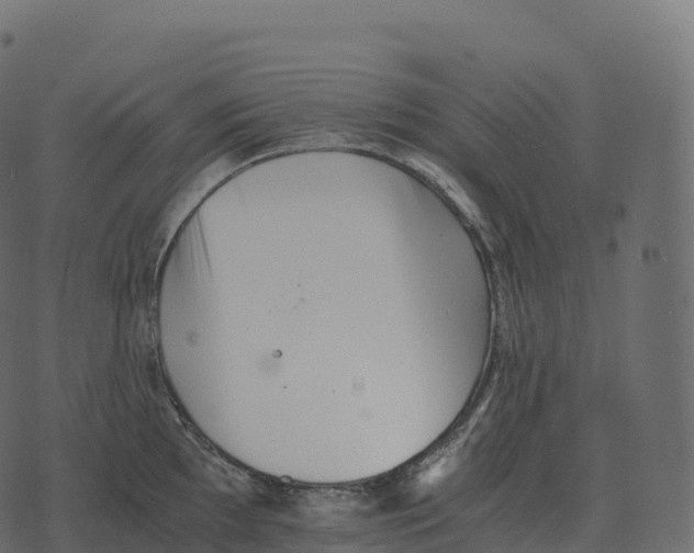 X0000073451097200608251659