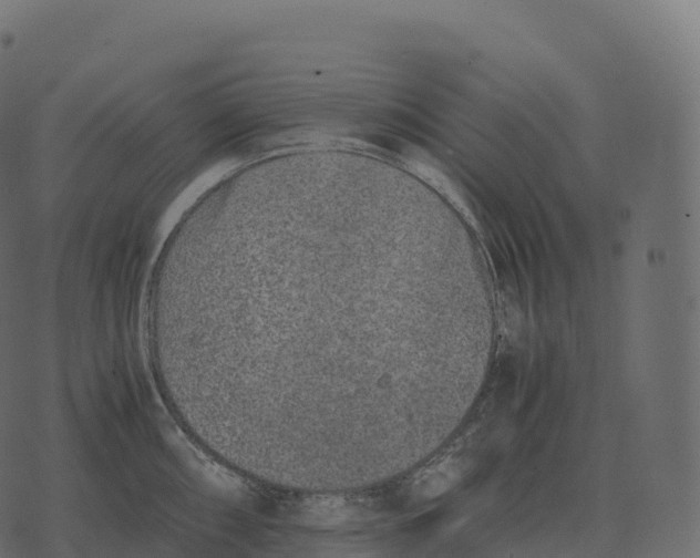 X0000073451098200608251659