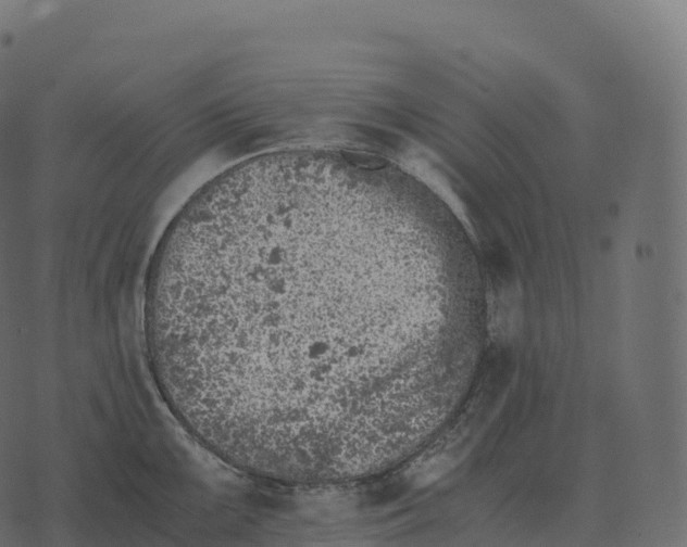 X0000073451099200608251659