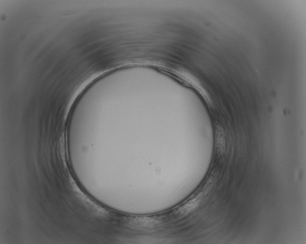 X0000073451100200608251659